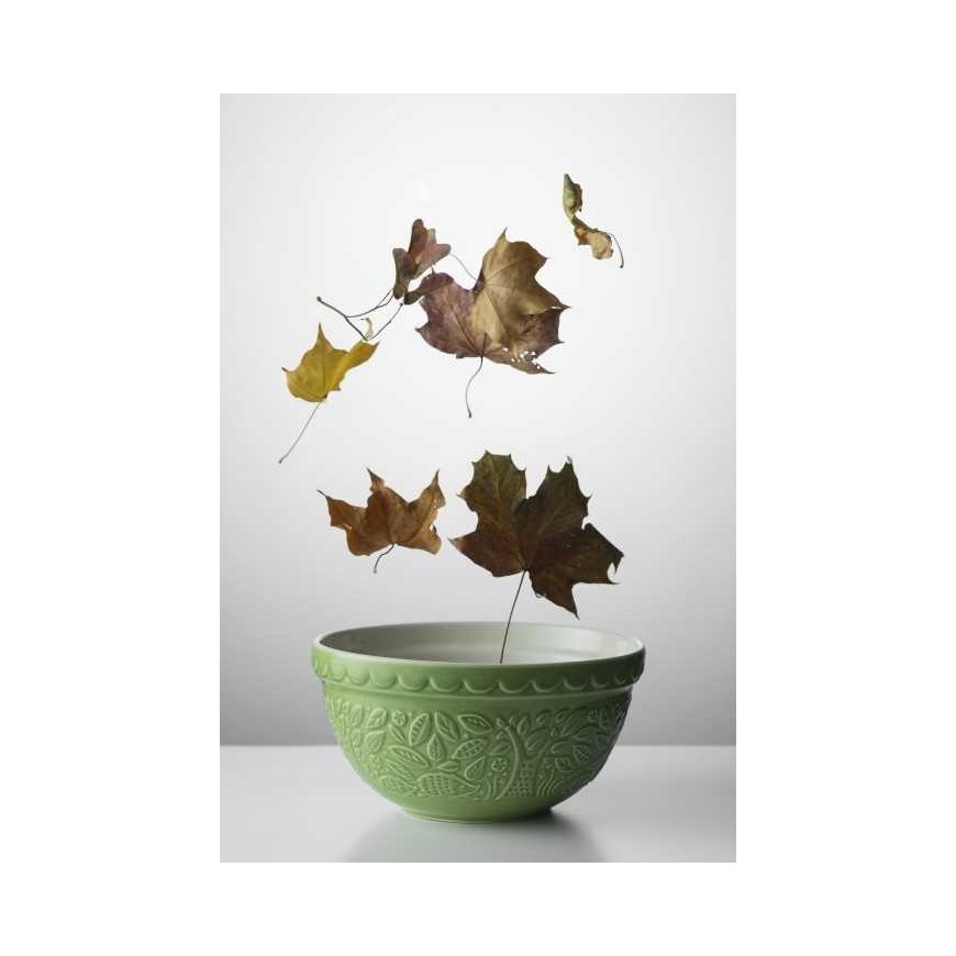 MASON CASH (RAYWARE GROUP) MC-Miska 1l. green, Forest – 3