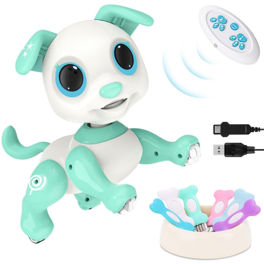 Kaugjuhitav Robodog