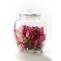 Kilner Rayware Group KIL - 2l capacity jar Universal Storage