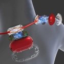 Media-Tech EMS NECK MASSAGER - EMS massager for neck and nape (Electromuscular Stimulation). 4 modes and 9 intensity levels. War