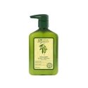 Shampoo and body wash CHI Olive Organics Hair & Body Shampoo 340 ml