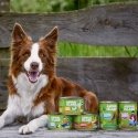 ANIMAL ISLAND Deer with potatoes - wet dog food - 410 g ANIMAL ISLAND Deer with potatoes - wet dog food - 410 g