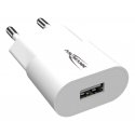 Ansmann HC105 Universal White AC Indoor