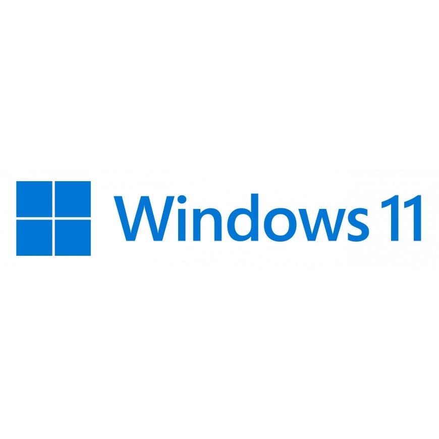 Microsoft Windows 11 Pro Pilnībā komplektēts