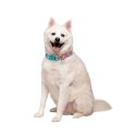 SQUISHMALLOWS Dog Collar, large SQUISHMALLOWS Dog Collar, large