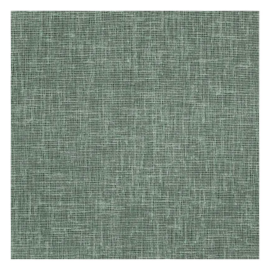 Eurofirany Euro curtains ZAS/ANGELICA/MIĘ 140X250 TRANS – 4