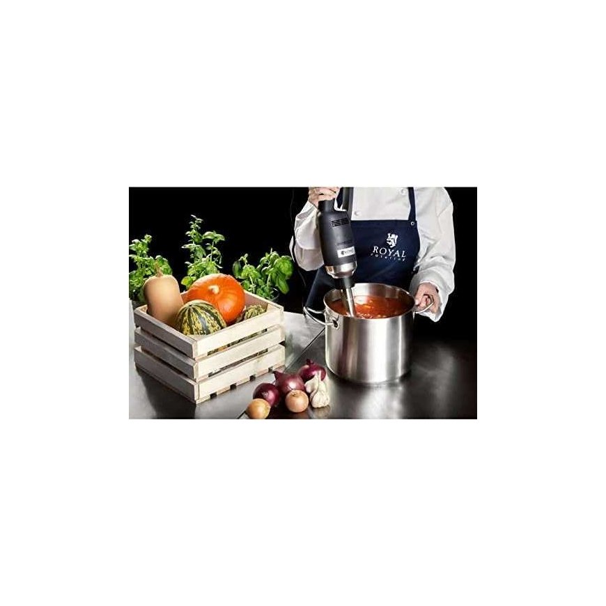 Royal Catering Mixer blender 500W 230V, silver/black – 3