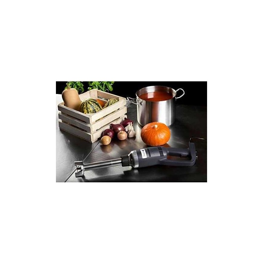 Royal Catering Maišytuvas blenderis 500W 230V, sidabro/juoda – 4