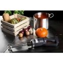 Royal Catering Mixer blender 500W 230V, silver/black Royal Catering Mixer blender 500W 230V, silver/black