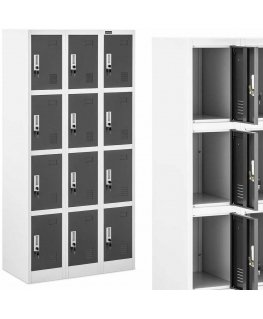 Frommstarck Metal cabinet with 12 lockable compartments