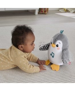 Fisher-Price HNC10 обучающая игрушка