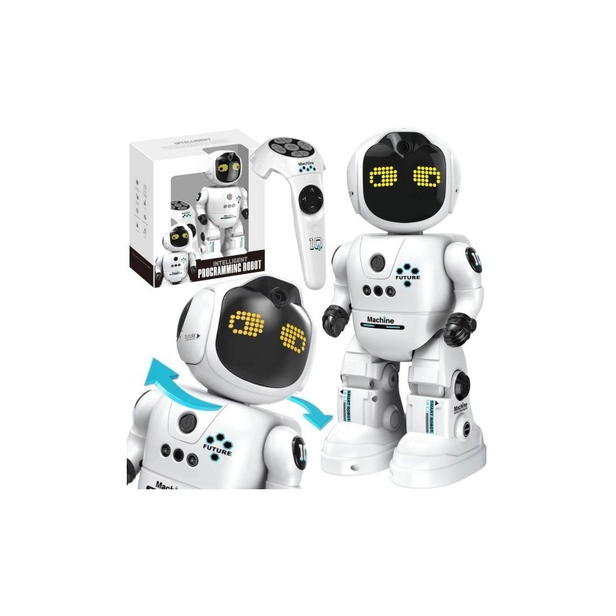 Madej R/C robot for programming