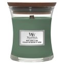 WoodWick Mint Leaves & Oak vahakynttilä Sylinteri Minttu, Oak wood Vihreä 1 kpl