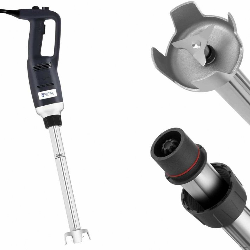 Royal Catering Hand blender 500 W 230 V, silver/black