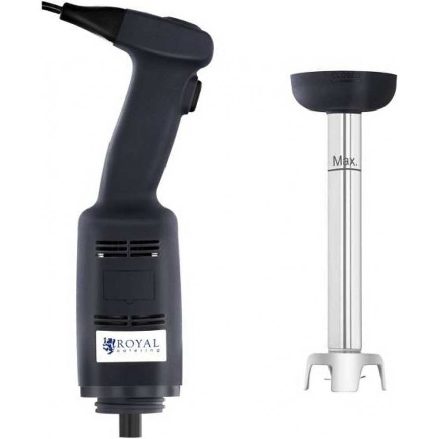 Royal Catering Rankinis blenderis 500 W 230 V, sidabro/juoda – 3