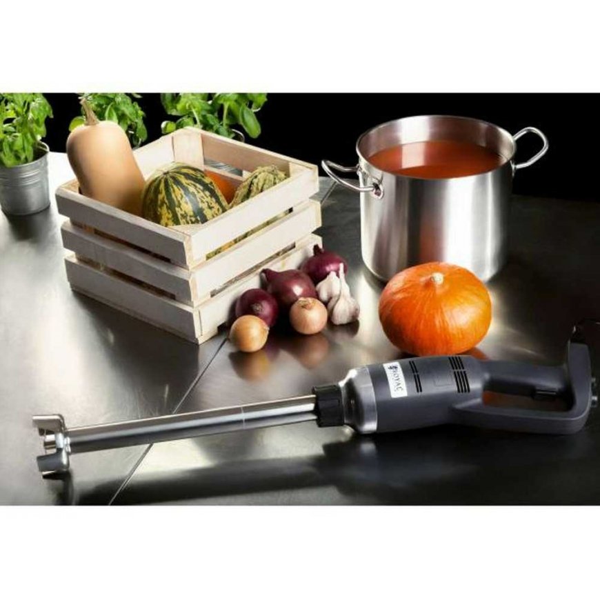 Royal Catering Rankinis blenderis 500 W 230 V, sidabro/juoda – 5