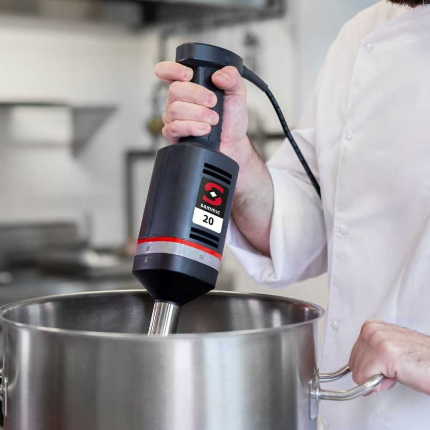 Hand mixer with mixing and beating handle MB-21 300 W - Sammic – 4