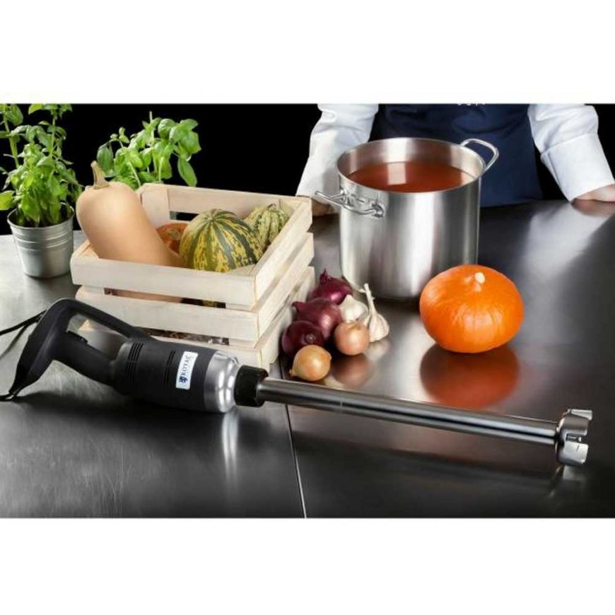 Royal Catering Mixer blender 500mm, 500W 230V, black/silver – 5