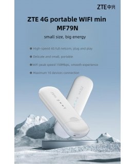 Router ZTE MF79N