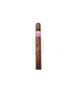 Cuba Cactus Eau de Parfum for women 35 ml