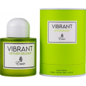 Emir Paris Corner Vibrant Vetiver Delight EDP - 100 ml Emir Paris Corner Vibrant Vetiver Delight EDP - 100 ml