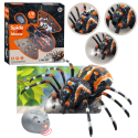 Lean Toys Remote Control Spider Tarantula Infrared Black R/C ST Lean Toys Remote Control Spider Tarantula Infrared Black R/C ST