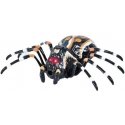 Lean Toys Remote Control Spider Tarantula Infrared Black R/C ST Lean Toys Remote Control Spider Tarantula Infrared Black R/C ST