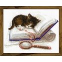 Uab Riolis Kačiukas in book SR1725