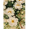 Uab Riolis White Briar 1351