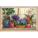 Uab Riolis Window sill with flowers SR1669