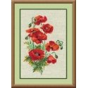 Uab Riolis Wild poppy 808 Uab Riolis Wild poppy 808