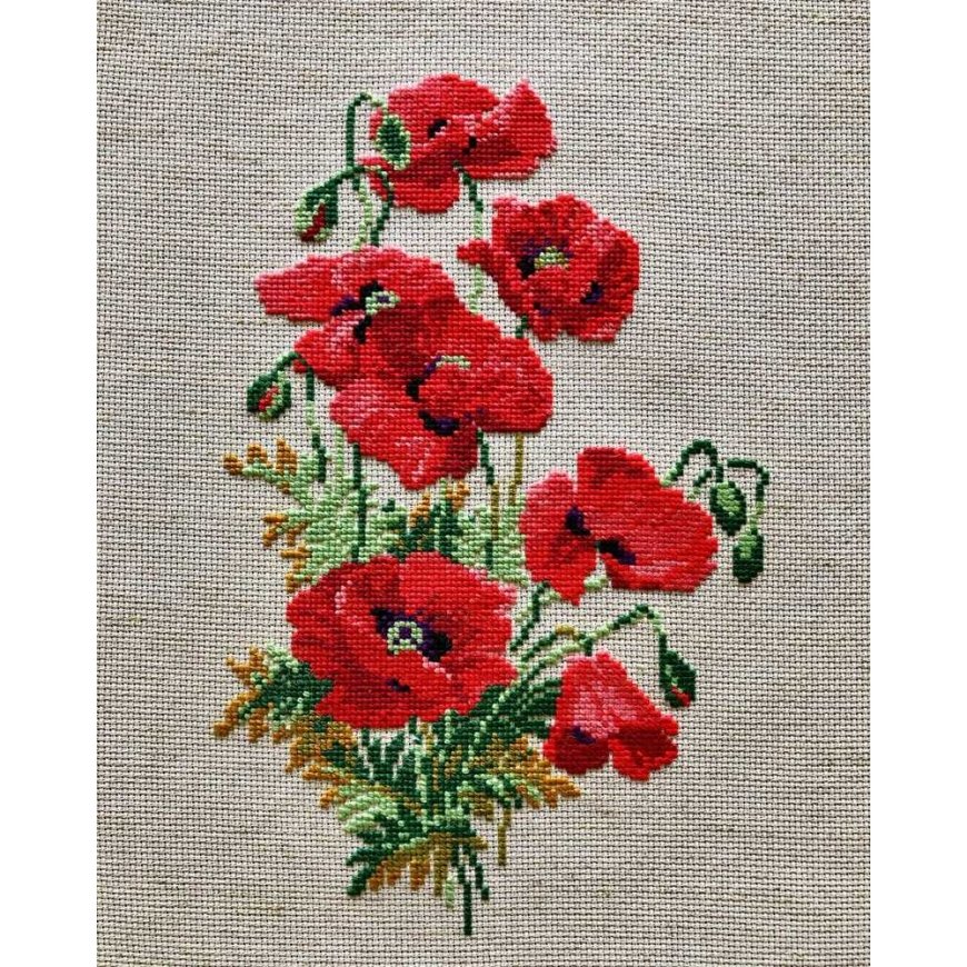 Uab Riolis Wild poppy 808 – 3