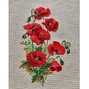 Uab Riolis Wild poppy 808 Uab Riolis Wild poppy 808