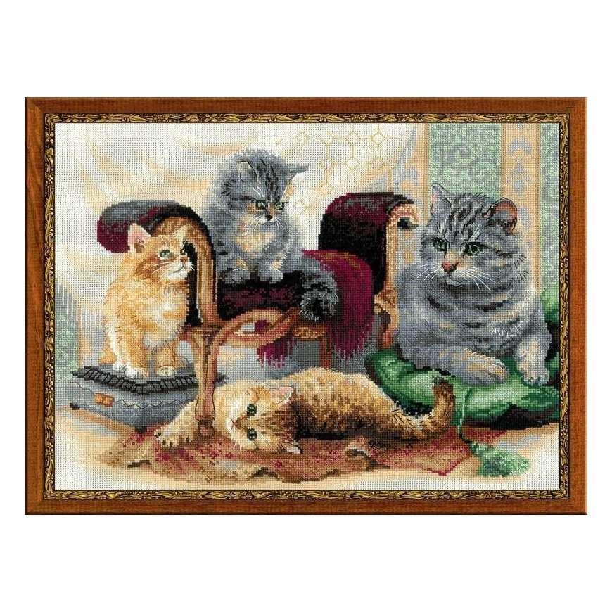 Uab Riolis Uab Riolis Cat family