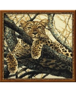 Uab Riolis Leopardas 937