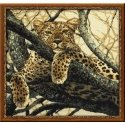 Uab Riolis Leopardas 937