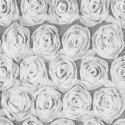 Eurofirany MH/Z/ROSES/1/B 140X250 TRANSL