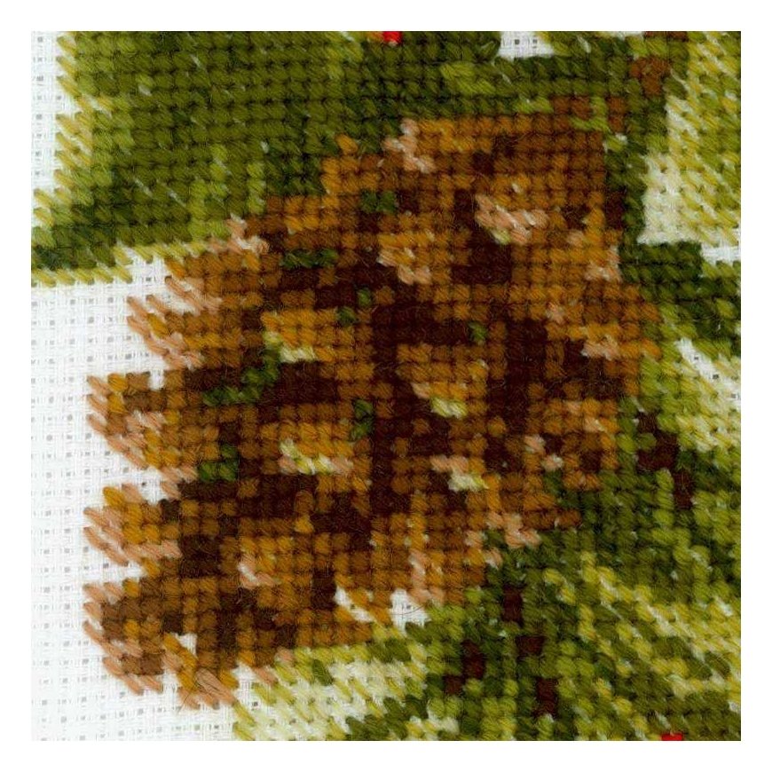 Uab Riolis Poinsettia SR1729 – 2