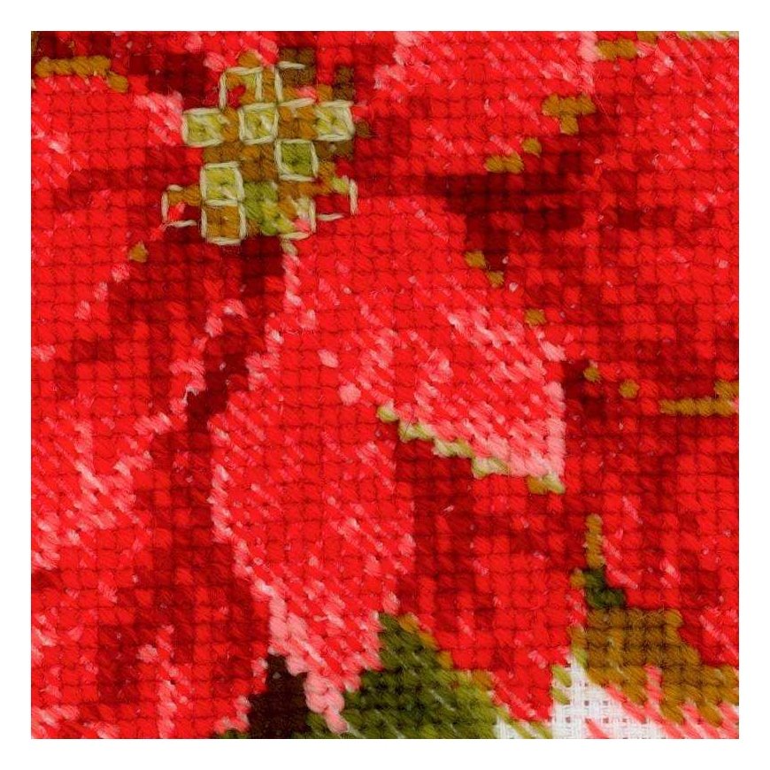 Uab Riolis Poinsettia SR1729 – 3