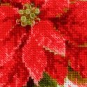 Uab Riolis Poinsettia SR1729 Uab Riolis Poinsettia SR1729