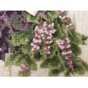 Uab Riolis Herbs SR1717