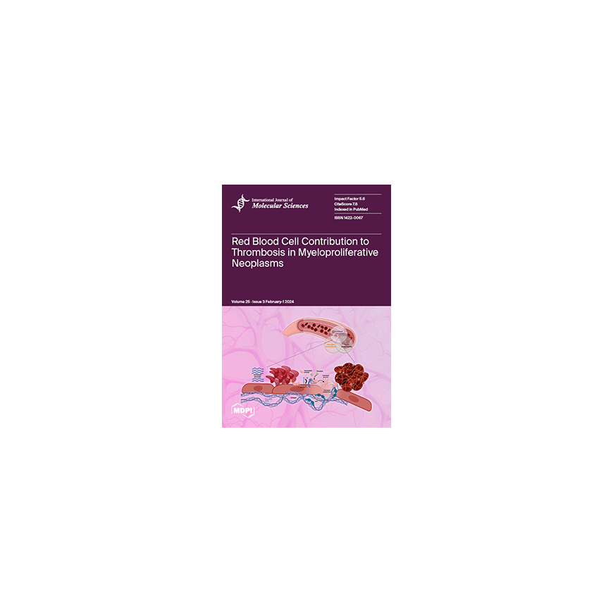 RoGer M1 Multifunctional magnetic board