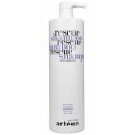 Artego Easy Care T Rescue šampūnas nuo plaukų slinkimo (1000ml)