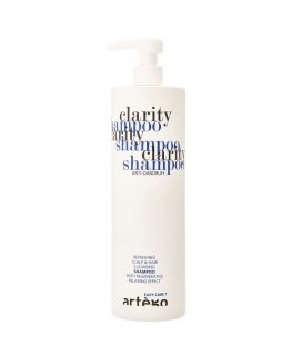 Anti-dandruff shampoo Artego Easy Care T Clarity, 1000ml