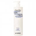 Šampūnas plaukams nuo pleiskanų Artego Easy Care T Clarity, 1000ml