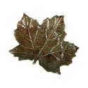 Set of 2 Sfogliami Plane Leaf Plates - Green, 19.5 cm