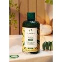 The Body Shop Ginger Šampūnas, 250 ml The Body Shop Ginger Šampūnas, 250 ml