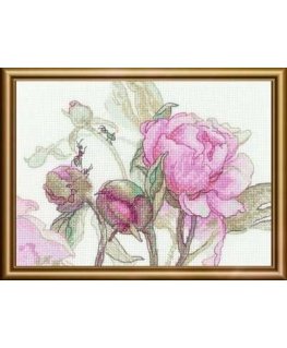 Uab Riolis Embroidery kit 18x15 SRA1009