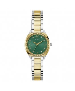 Laikrodis Watches GUESS LADIES GW0767L4