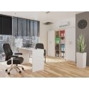Topeshop OLIV 2D SON-MIX KPL office bookcase Topeshop OLIV 2D SON-MIX KPL office bookcase